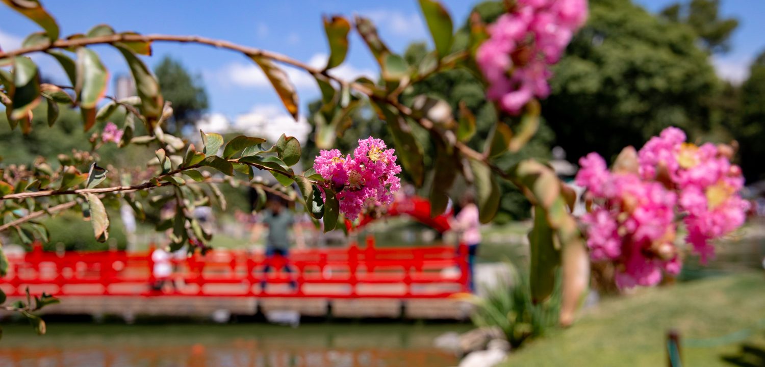 jardim japonés Buenos Aires