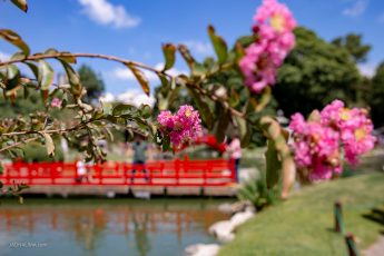 jardim japonés Buenos Aires